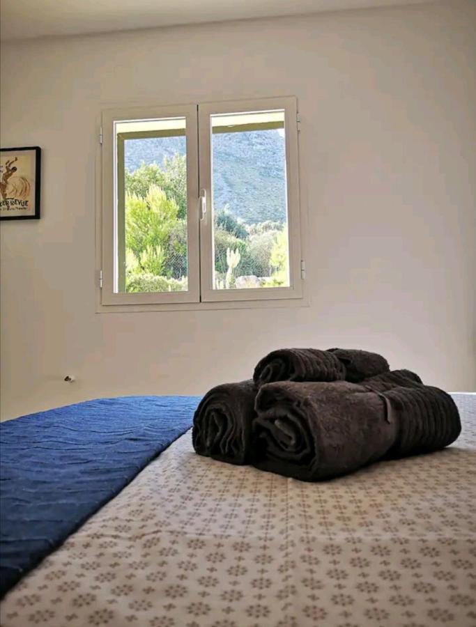 Casa Hokie Villa Колония де Сан Педро Екстериор снимка